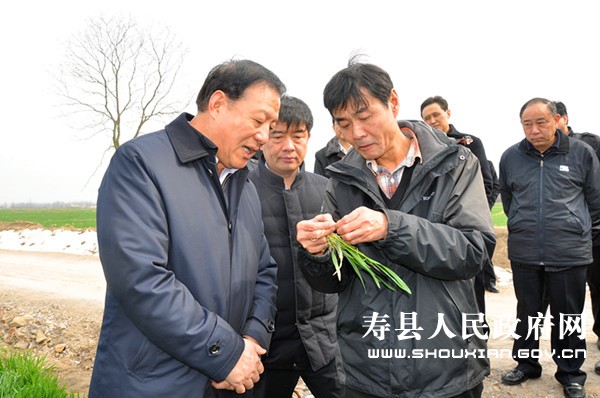 书记,市人大常委会主任孙云飞,副市长熊健,县长程俊华,县委常委许支禄
