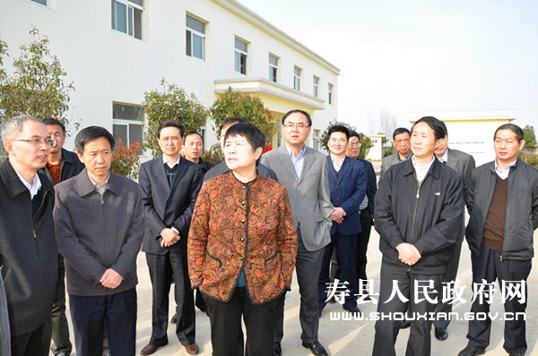 省水利厅长纪冰,市长毕小彬,县长程俊华,县委常委许支禄,副县长刘威等