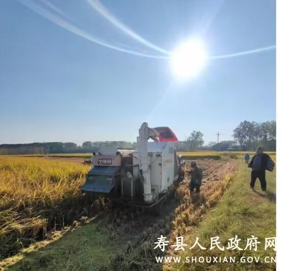 安丰镇农机奏响丰收曲秋收秋种正当时_政务公开 _寿县人民政府