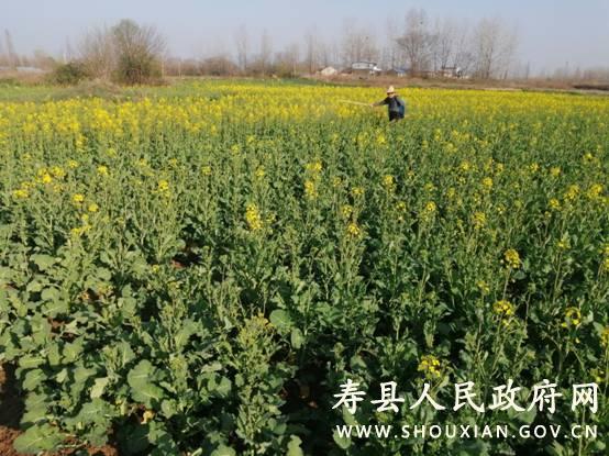 小甸镇扎实做好春耕备耕工作