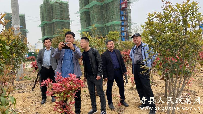 寿县融媒体组织记者到炎刘镇采风