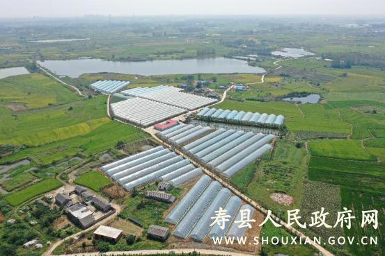 刘岗镇扩建塘面村绿丰蔬菜基地