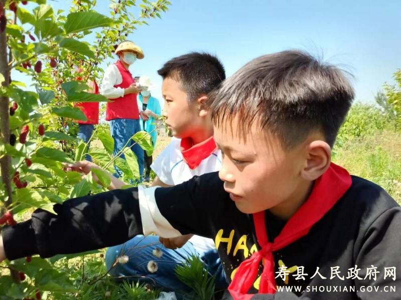 窑口小学把劳动实践课开在农业合作社里_寿县人民政府