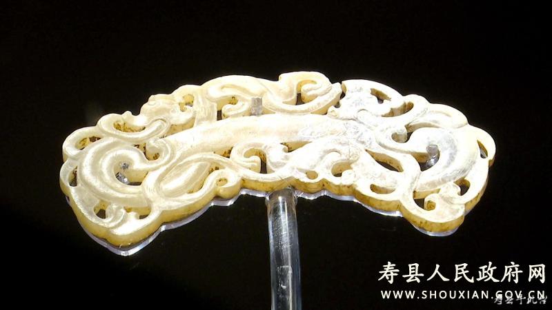 走马博物馆 探寻“龙文化”_寿县人民政府
