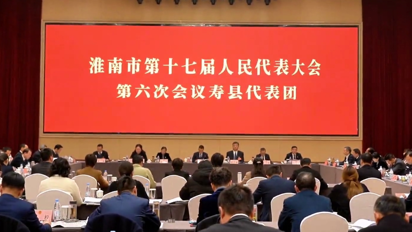 朱艾勇参加市十七届人大六次会议寿县、田家庵区代表团审议