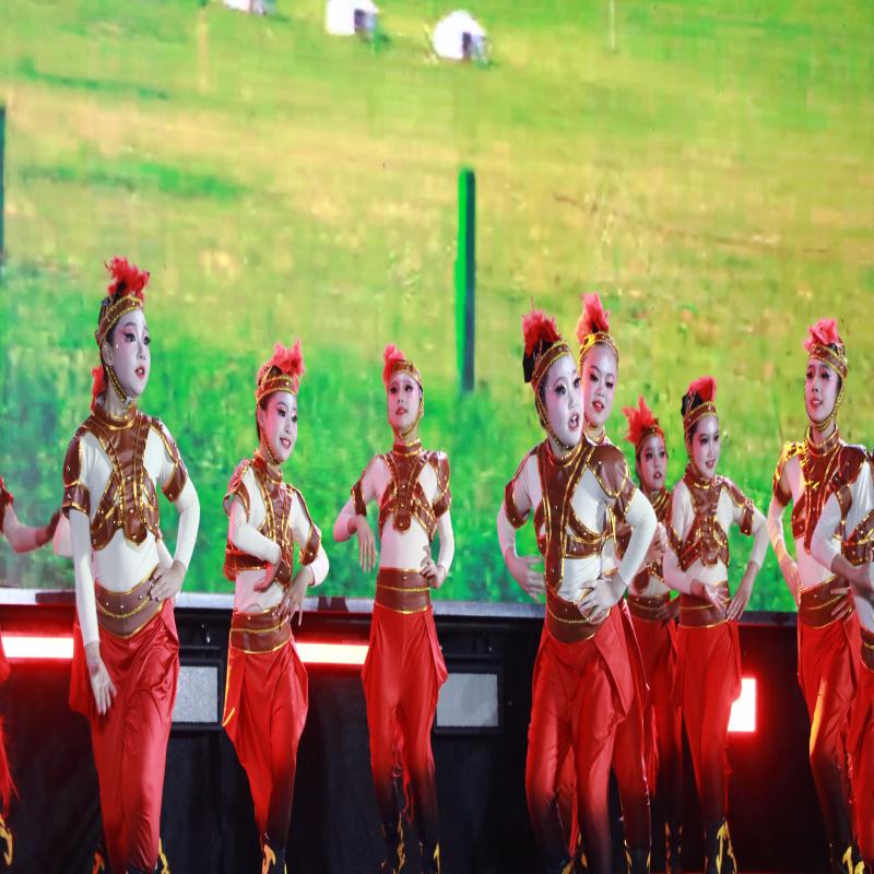 2026年淮南市“甘甘为淮”学雷锋志愿服务主题宣传活动暨寿州古城元宵节晚会圆满成功举办