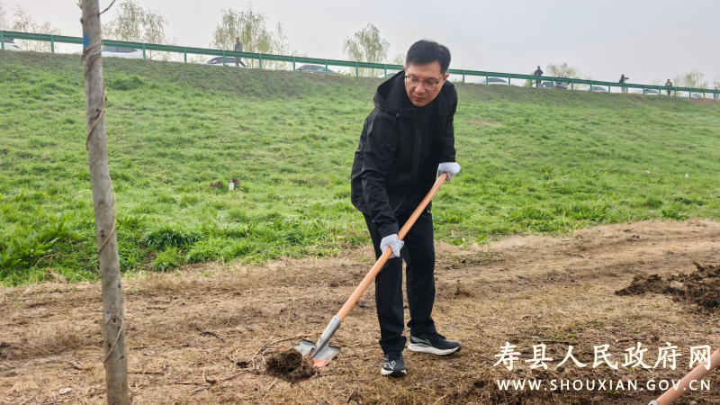 寿县开展2026年春季义务植树活动 