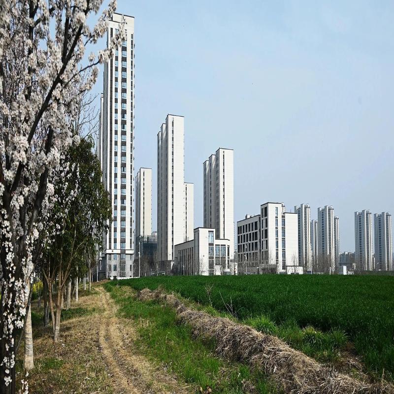 繁花织锦秀 园区春意浓