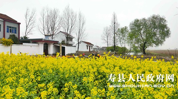 扮靓济祁高速之安丰镇_寿县人民政府